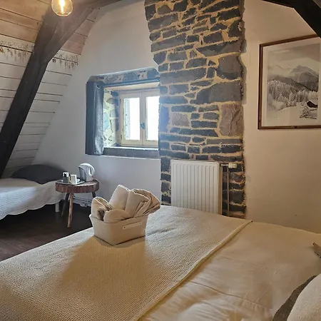 Datcha Anastasia 2* Besse-et-Saint-Anastaise